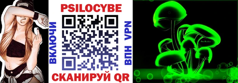 Псилоцибиновые грибы Psilocybine cubensis  купить закладку  Спасск-Дальний 