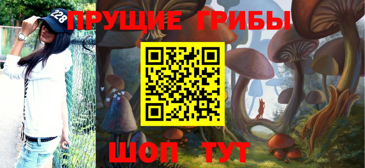 Псилоцибиновые грибы Cubensis Спасск-Дальний