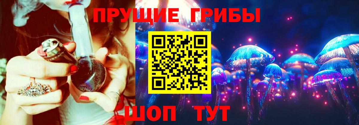Псилоцибиновые грибы Psilocybe  Вход с VPN  Спасск-Дальний 